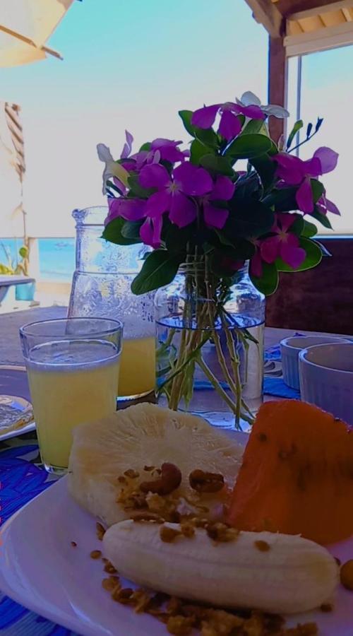 Icapuí Alohaホステル エクステリア 写真