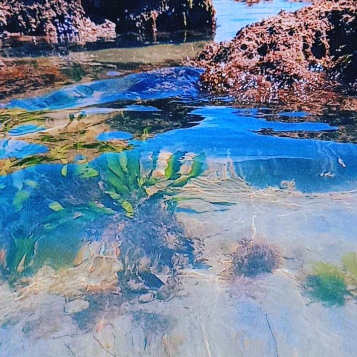 Icapuí Alohaホステル エクステリア 写真