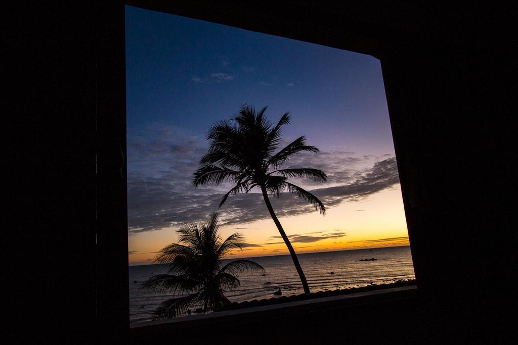 Icapuí Alohaホステル エクステリア 写真