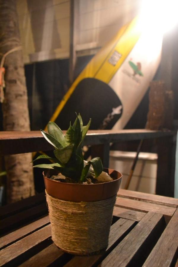 Icapuí Alohaホステル エクステリア 写真